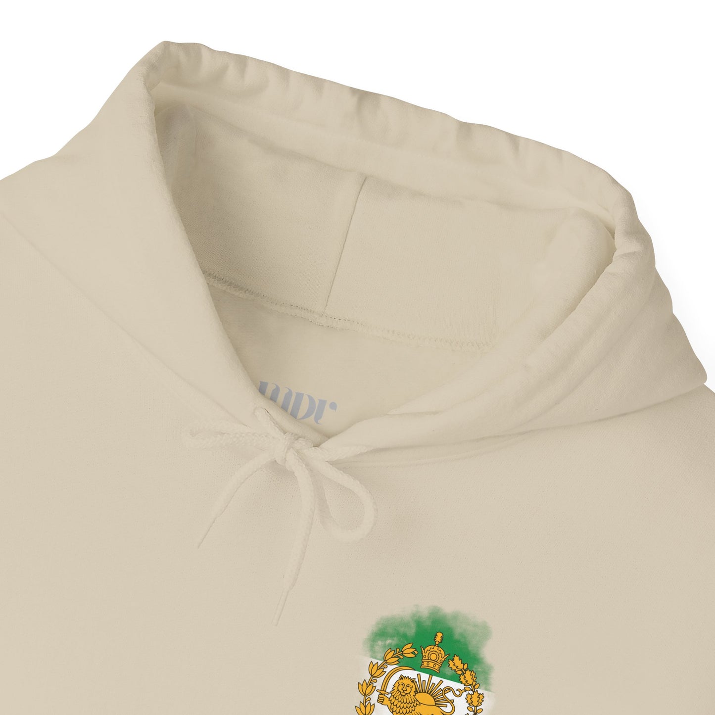 Lion and Sun of Iran Unisex Hoodie