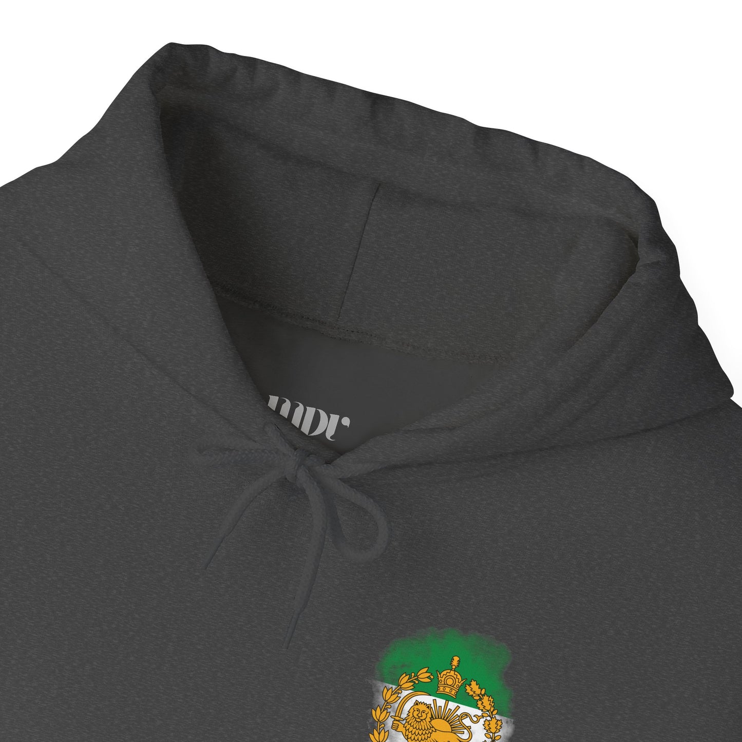 Lion and Sun of Iran Unisex Hoodie