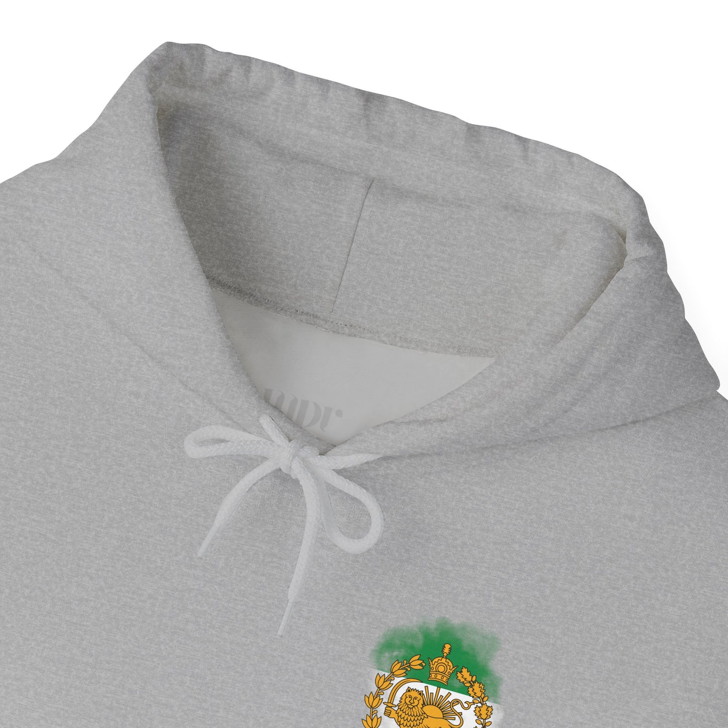 Lion and Sun of Iran Unisex Hoodie