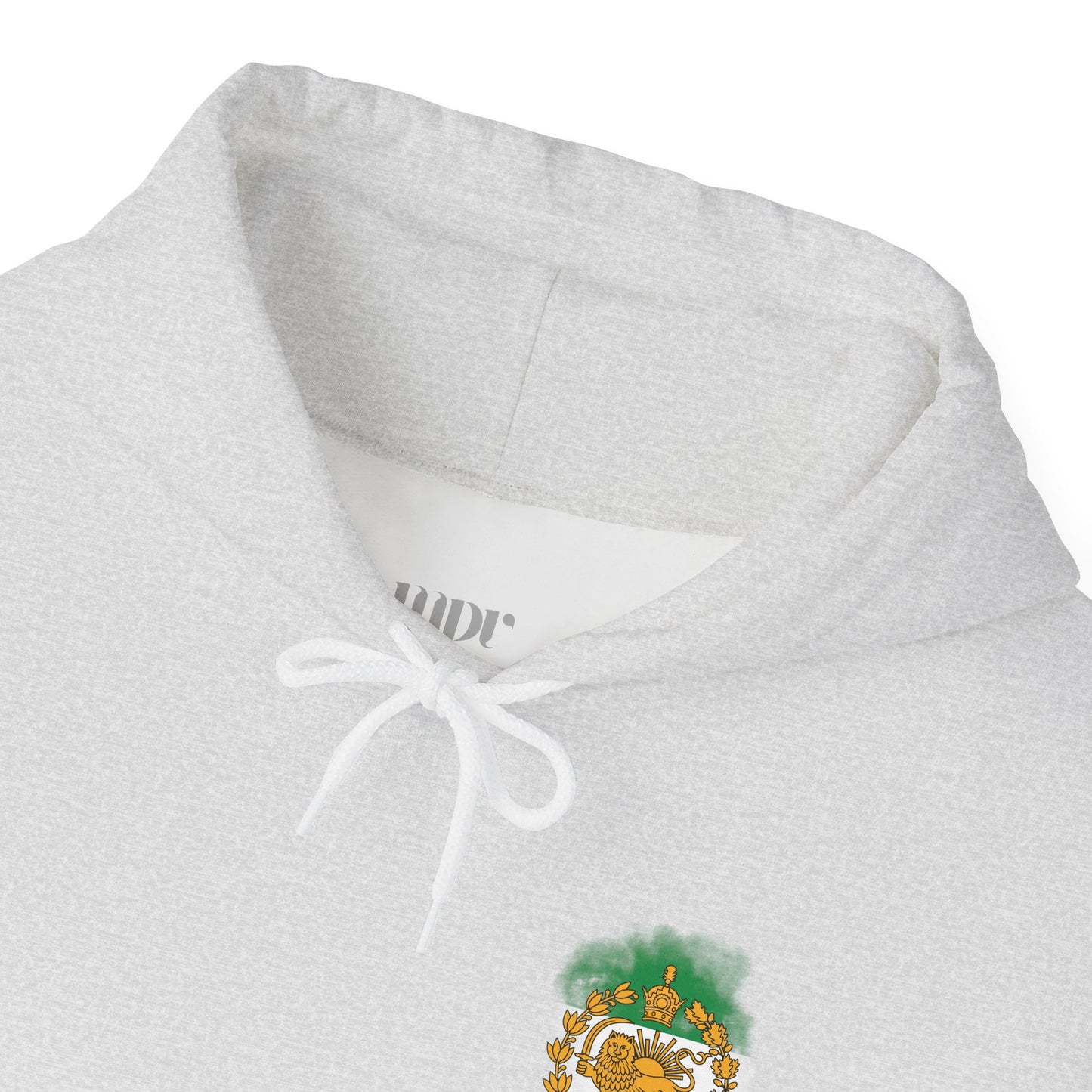 Lion and Sun of Iran Unisex Hoodie